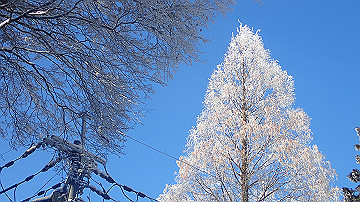 p1260935_thumb.jpg