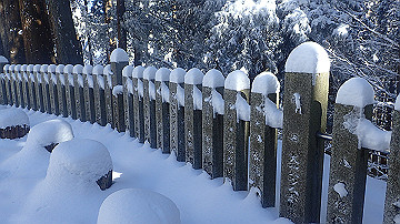 p1260940_thumb.jpg