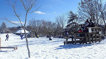 p1260953_thumb.jpg
