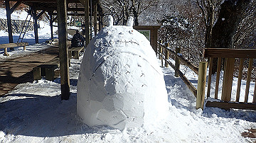 p1260963_thumb.jpg