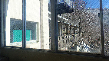 p1260968_thumb.jpg