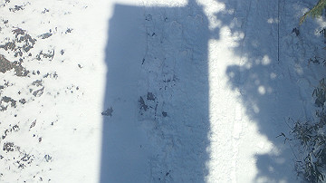 p1260977_thumb.jpg