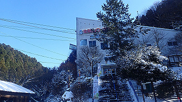 p1260980_thumb.jpg
