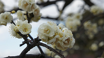 dsc01167_thumb.jpg