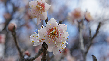dsc01176_thumb.jpg