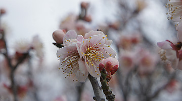 dsc01177_thumb.jpg