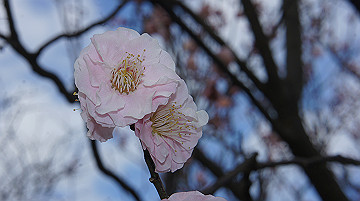 dsc01183_thumb.jpg