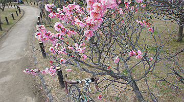 dsc01188_thumb.jpg
