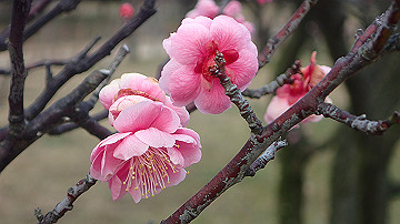 p2240801_thumb.jpg