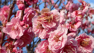 p2240803_thumb.jpg