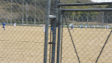 dsc01225_thumb.jpg