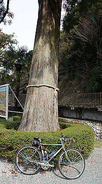 dsc01235_thumb.jpg
