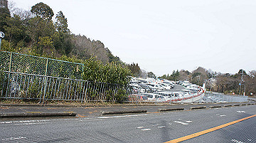 dsc01252_thumb.jpg