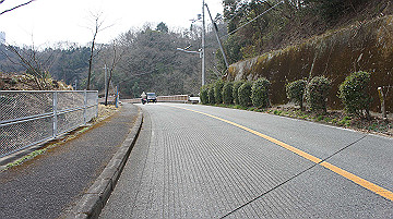 dsc01255_thumb.jpg