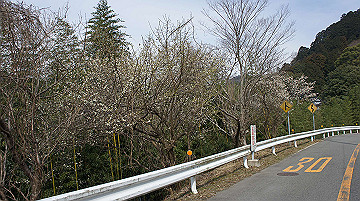 dsc01265_thumb.jpg
