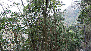 dsc01274_thumb.jpg