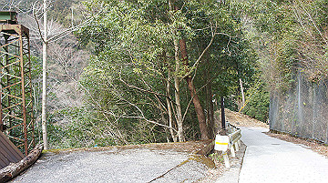 dsc01275_thumb.jpg