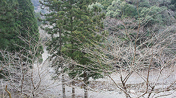 dsc01281_thumb.jpg
