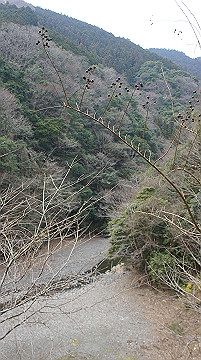 dsc01282_thumb.jpg