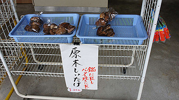 dsc01288_thumb.jpg
