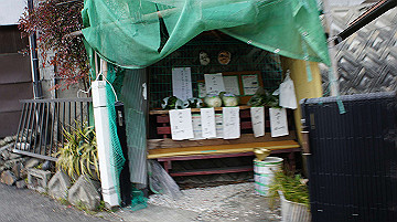 dsc01294_thumb.jpg