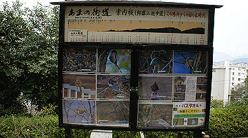 dsc01300_thumb.jpg