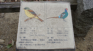 dsc01303_thumb.jpg