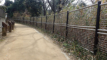 p3050792_thumb.jpg