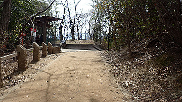 p3050795_thumb.jpg