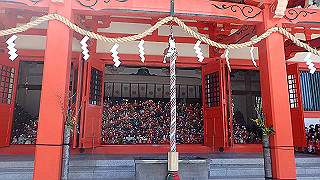 p3170014_thumb.jpg