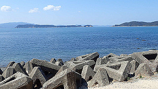 p3170020_thumb.jpg