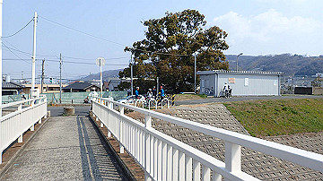 p3190035_thumb.jpg
