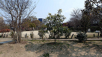 p3190059_thumb.jpg