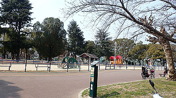 p3190073_thumb.jpg