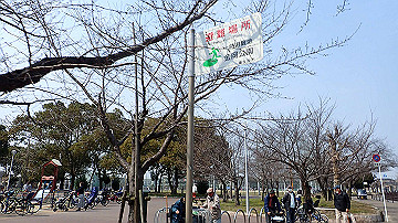 p3190074_thumb.jpg