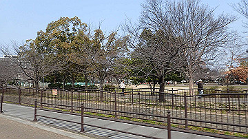 p3190075_thumb.jpg
