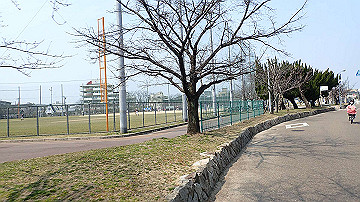 p3190076_thumb.jpg