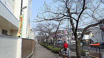 p3190078_thumb.jpg