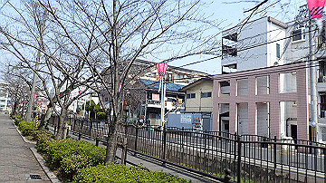 p3190079_thumb.jpg