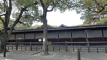 p3190085_thumb.jpg
