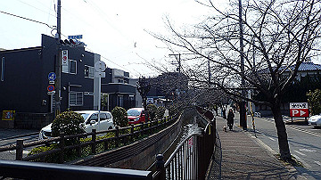p3190089_thumb.jpg