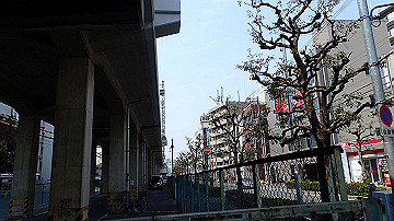 p3190098_thumb.jpg