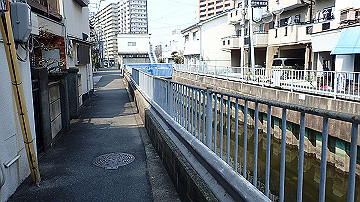 p3190115_thumb.jpg