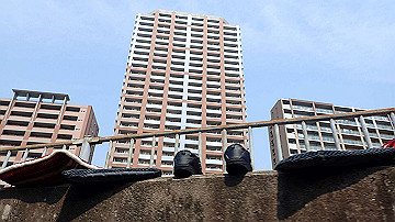 p3190116_thumb.jpg