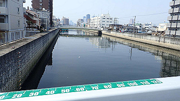 p3190126_thumb.jpg