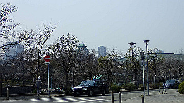 p3190133_thumb.jpg