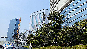 p3190136_thumb.jpg