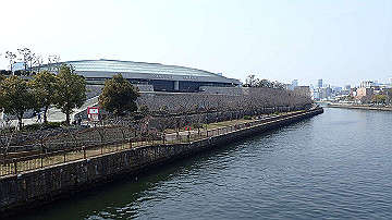 p3190139_thumb.jpg