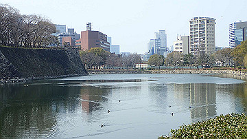 p3190145_thumb.jpg