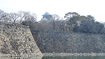 p3190150_thumb.jpg